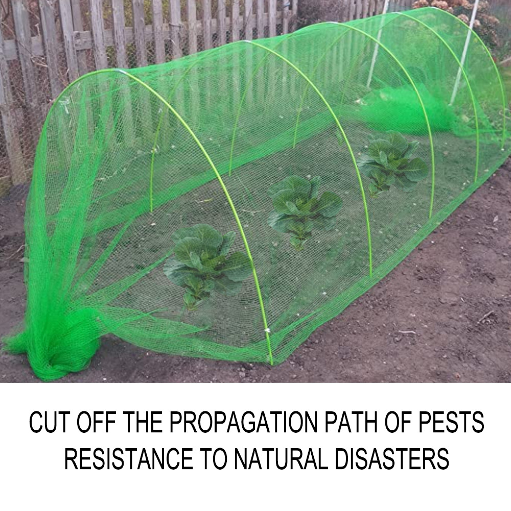 Free freight YEGBONG OEM ODM Pest Control Green insect net vegetable greenhouse thickened agricultural horticultural bird control-image-755034471