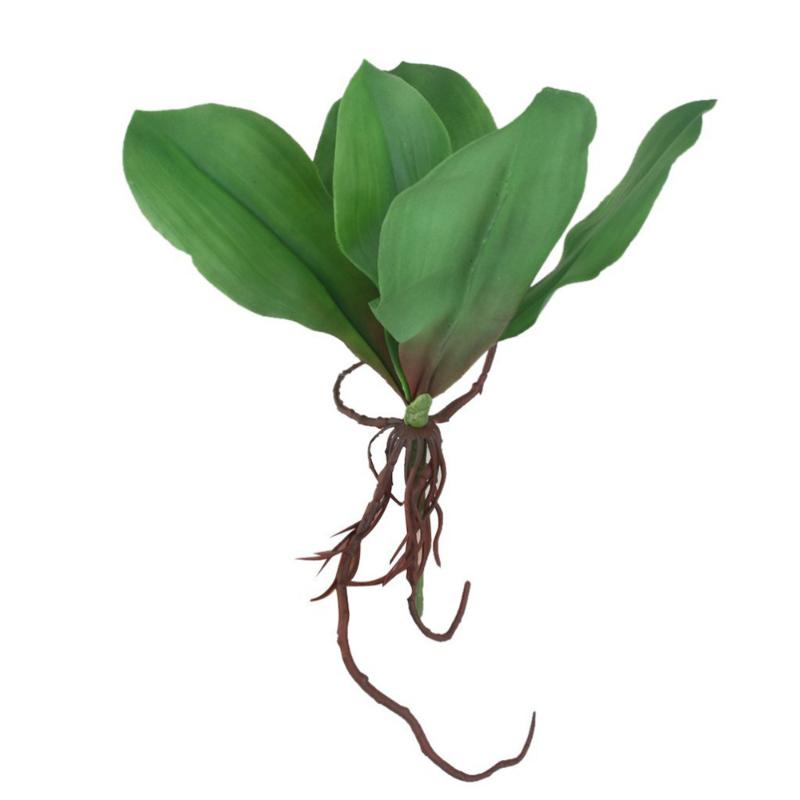 

Branch of Phalaenopsis Orchid Leaf for Home Office Decoration (Green