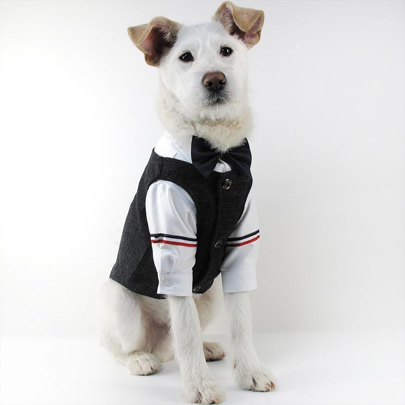 

Dog Clothes Puppy Pure Cotton British Japanese and Korean Style Fashion Leisure Suit Vest For Small Medium Dogs Puppy Outfit1, As the picture