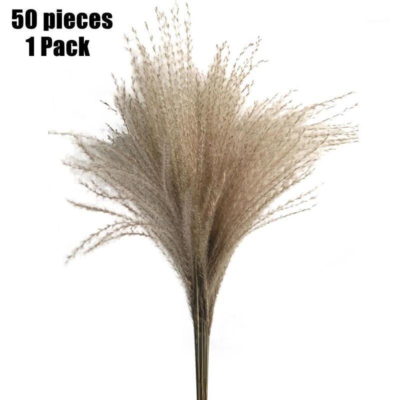 

50 Pcs Natural Reed Dried Flower Big Pampas Grass Bouquet Wedding Flower Ceremony Decoration Modern Home Decoration1, Grey