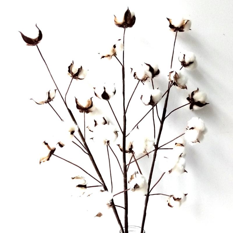 

Faux Cotton Stems~3 stems/Pack ~29" Cotton Boll Stem~Rustic Buds Decor, As pic