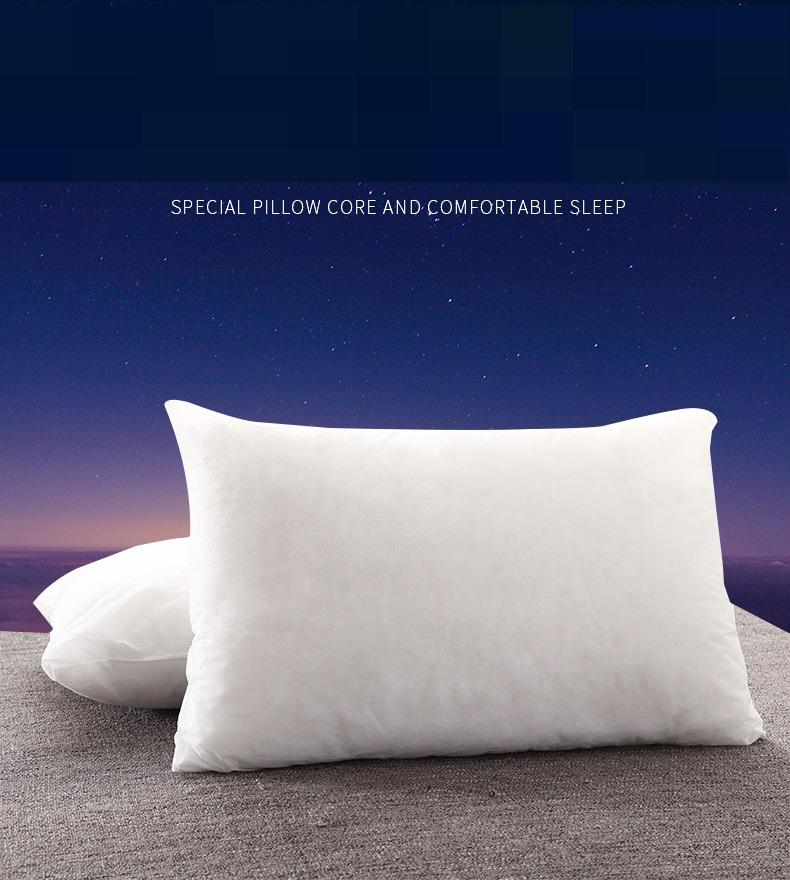 

Hot sale hotel home bed linings 100% polyester bedding pillow