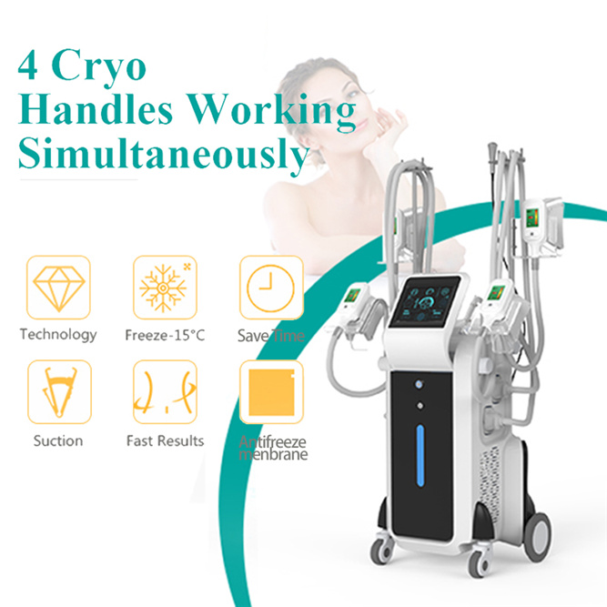 

Cryolipolysis Machine Fat Freeze Freezing Machines Weight Loss Handles For Whole Body Treatment Top Selling