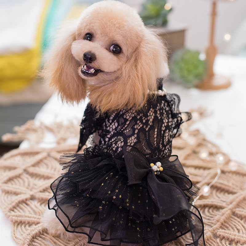 

Free Shipping Handmade Dog Clothes Pet Dress Black Lace Hollow-Carved Design Pearl Chain Collar Cats Evening Gown Yorkie