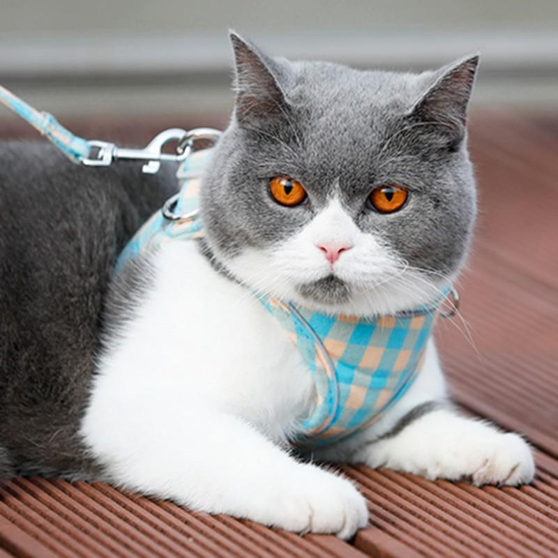 

Cotton Plaid Cat Kitten Puppy Harness And Leash Set Reflective Dog Vest Harness Leads Comfortable Pet Vest Clothes For Small Dog