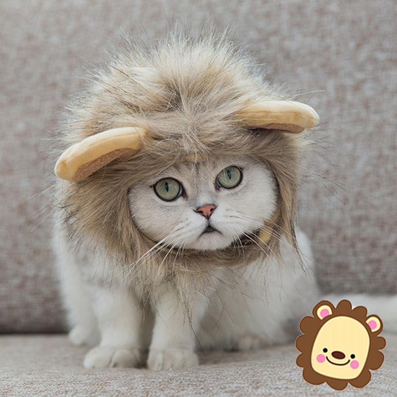 

MPK Store] Lion Mane Cat Headwear, Headwear with Ears For Cats, 3 Sizes Available, Turn Your Kitty Into A Lion