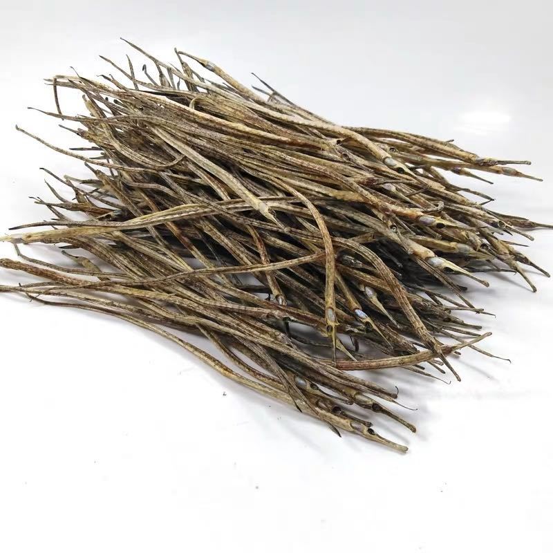 

Otter Real Syngnathus Natural Sea Great for Jewelry taxidermy nautical Home Decoration ,Craft supplies 12~15mm