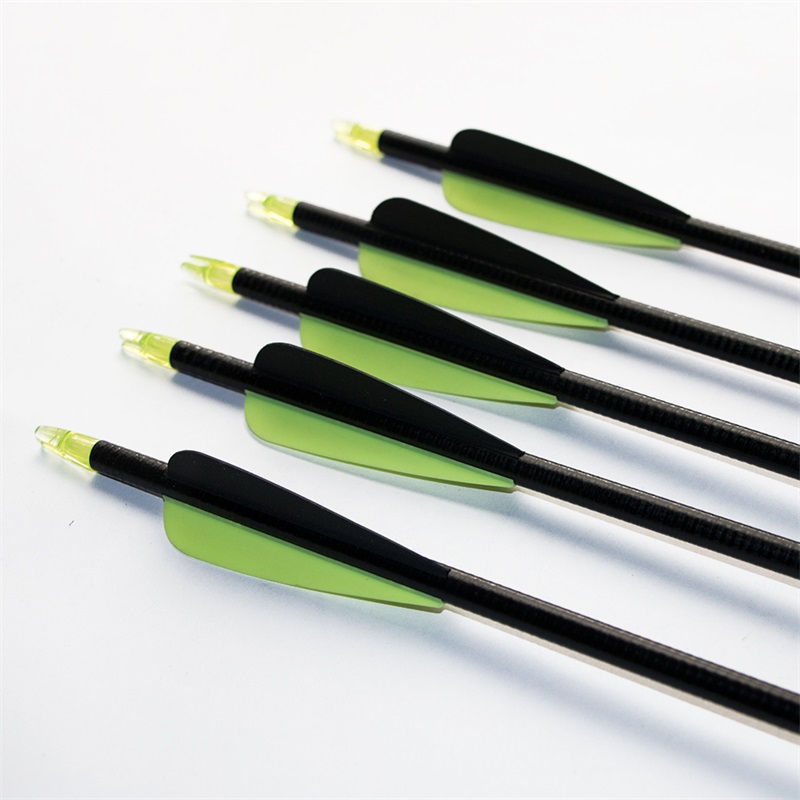 

Archery 80cm Fiberglass Arrows screwed field Tips Hunting fiberglass arrow Practice for Recurve Bow Target Shooting