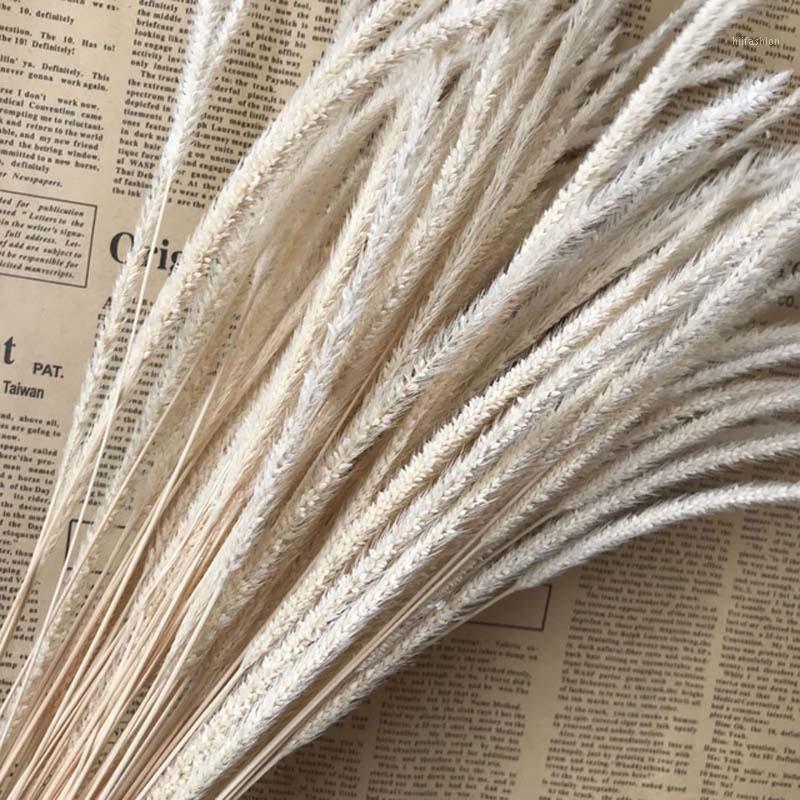 

120PCS /35-40CM Dried Natural Flowers Eternelle Hypericum Japonicum Branch,Dry Goldenrod Small Pampas Grass For Home Decor1, 06