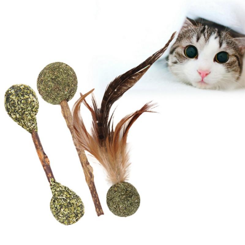 

4 Style Cat Cleaning Teeth Pure Natural Catnip Pet Cat Molar Toothpaste Stick Actinidia Fruit Sticks