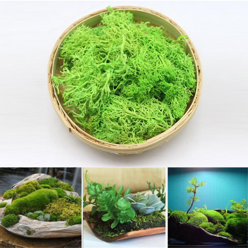 

Artificial Green Plant Immortal Fake Flower Moss Grass Home Living Room Decorative Wall DIY Flower Mini High Quality Accessories1, Light green