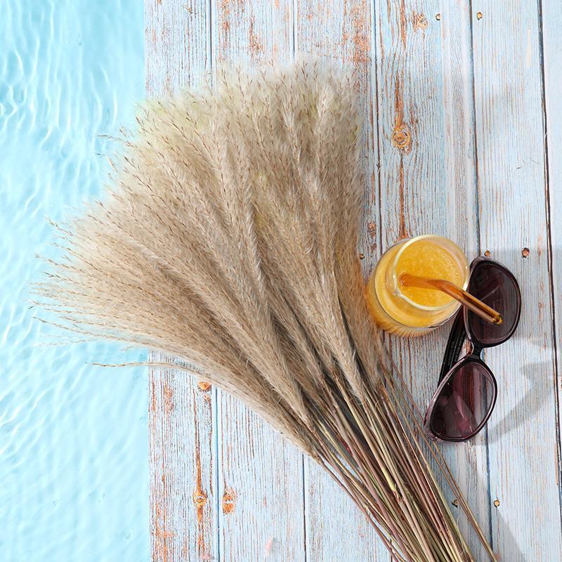 

50pcs Dried Flower Reed Flower Dusting Pampas Grass Wheat Dried Wedding Shop Decoration Ornament1