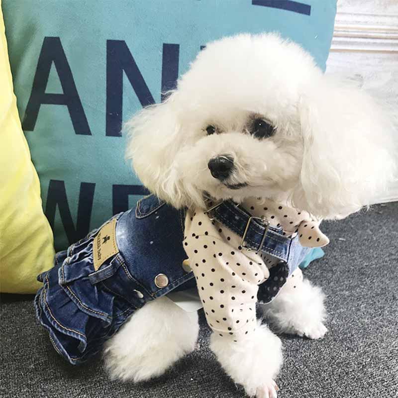 

New strap elastic pet denim skirt cute cat and dog pet skirt Teddy Bichon denim small dog clothes1, Navy blue