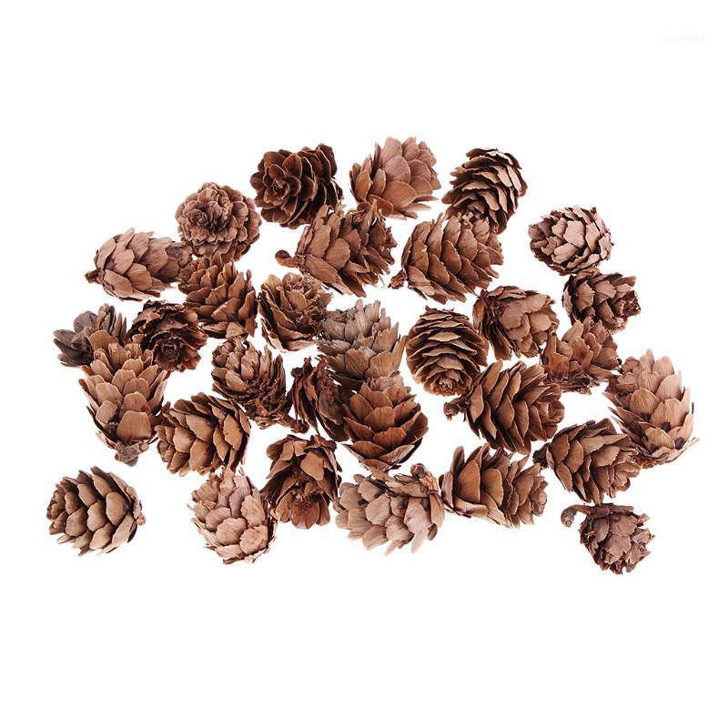

30pcs Mini Pine Cones Decor Christmas House Tree Decorative Ornament DIY Crafts Supplies1