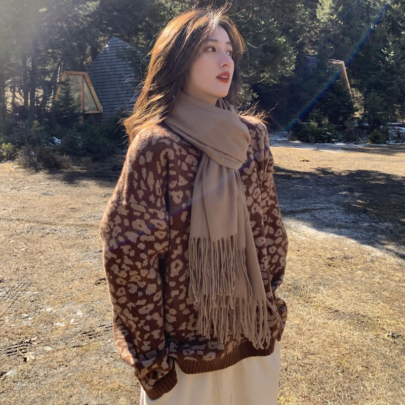 

2021 New 2 colours female autumn sweaters and leopard-style jumpers hot mesh sweater (c8674) TTIE, Brown