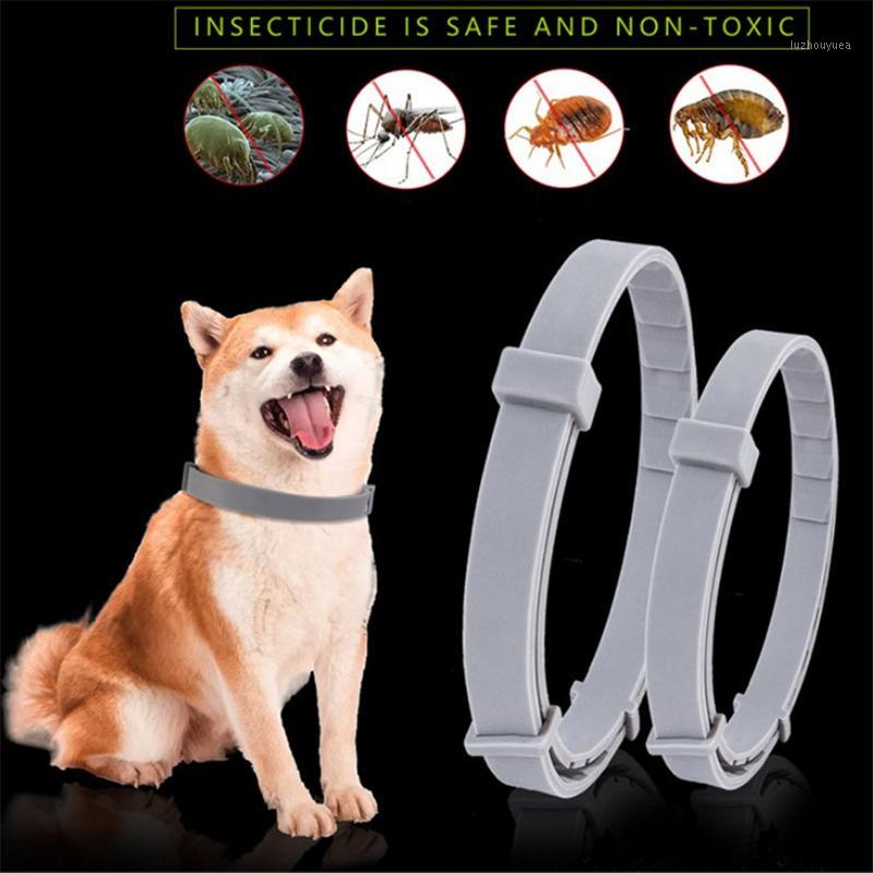 

8 Month Flea & Tick Prevention Collar Removes Flea And Tick Collars for Cats Dogs Mosquitoes Repellent Collar Insect Mosquitoes1