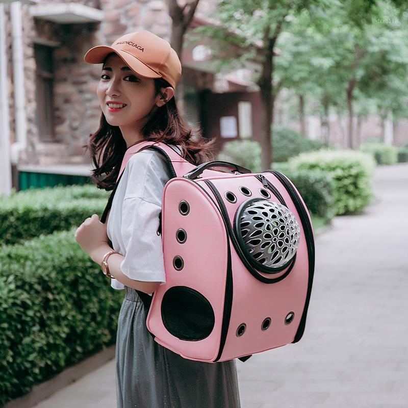 

New Cat Bag Pet Backpack Cat Space Backpack Dog Out Portable 5-piece Set1