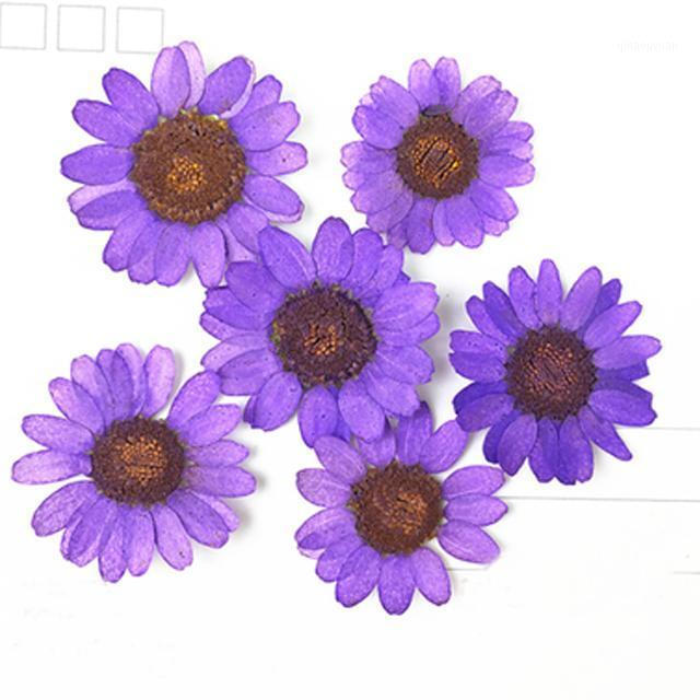 

2020 Latest Chrysanthemum 6 Different Color Diameter 2.5-3CM Pressed Flowers Arrangements For bookmark material 120 pcs1, Purple 2.5-3cm