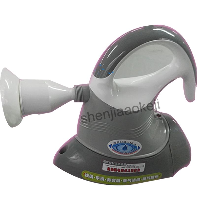 

DWF-A8 Hand-held Steam Iron Brush Cleaner perm machine Household Steaming cleaning machine Steamer Face 220v 750W 1pc