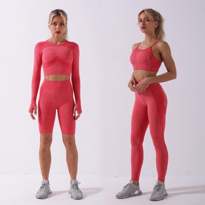 

4 Pice Set Seamless Yoga Set Workout Gym Women Clothing Fitness Outfits High Waist Leggings Shorts Sport breathable Bra, Bra shorts blue