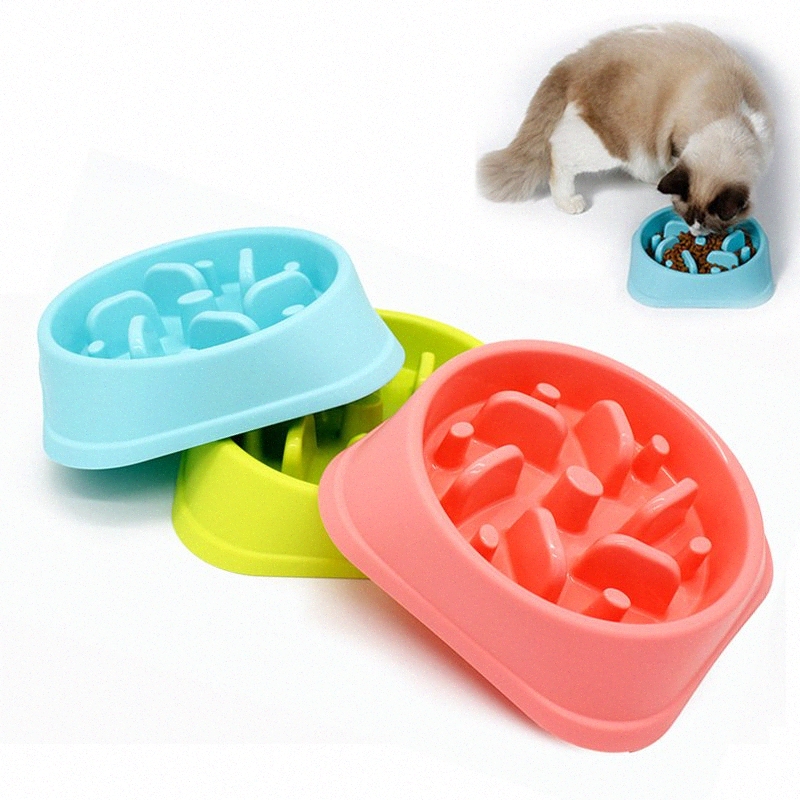 cheap dog bowls in bulk