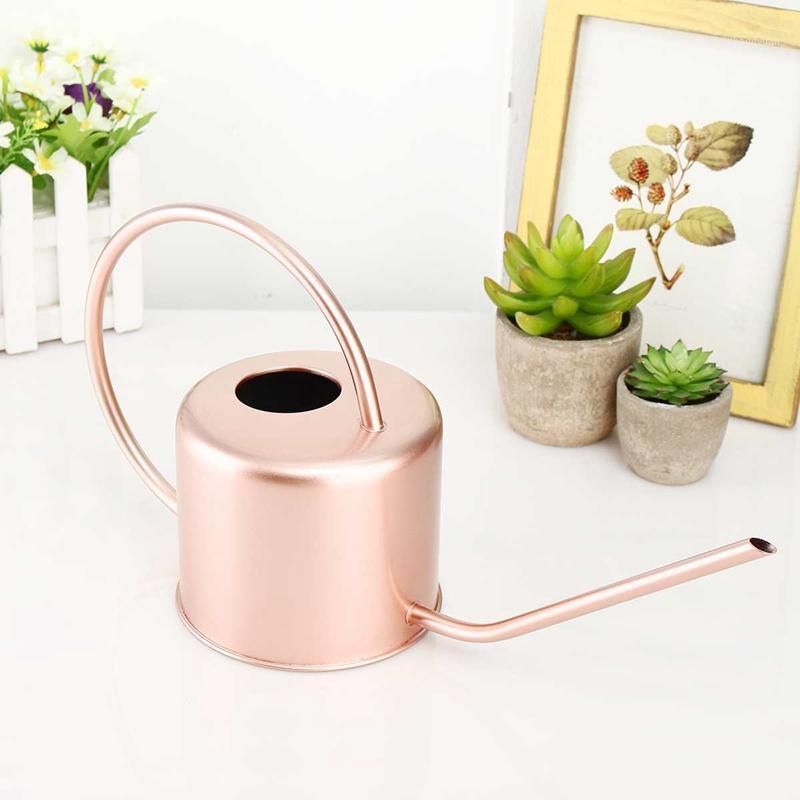 

1300Ml Watering Can Metal Garden Stainless Steel for Home Flower Water Bottle Easy Use Handle for Watering Plant Long Mouth Gard1, Rosegold