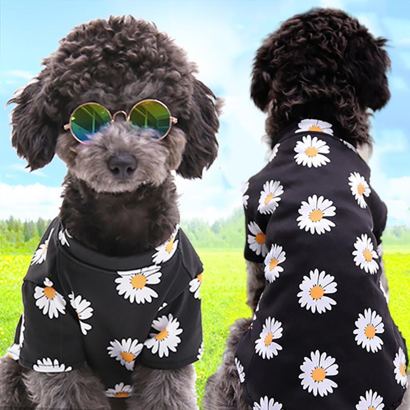 

Pet Dog Clothes Dogs Daisy T-Shirt for Small Medium Dogs Puppy Coat Spring Summer Travelling Outfit Cloth Teddy Bichon Chihuahua, Black