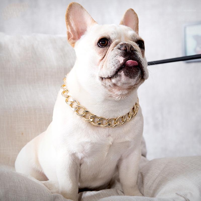 

Fashion Gold Chain Plated Plastic Identified Safety Collar Durable Thicked Dog Necklace Pet Dog Collar1