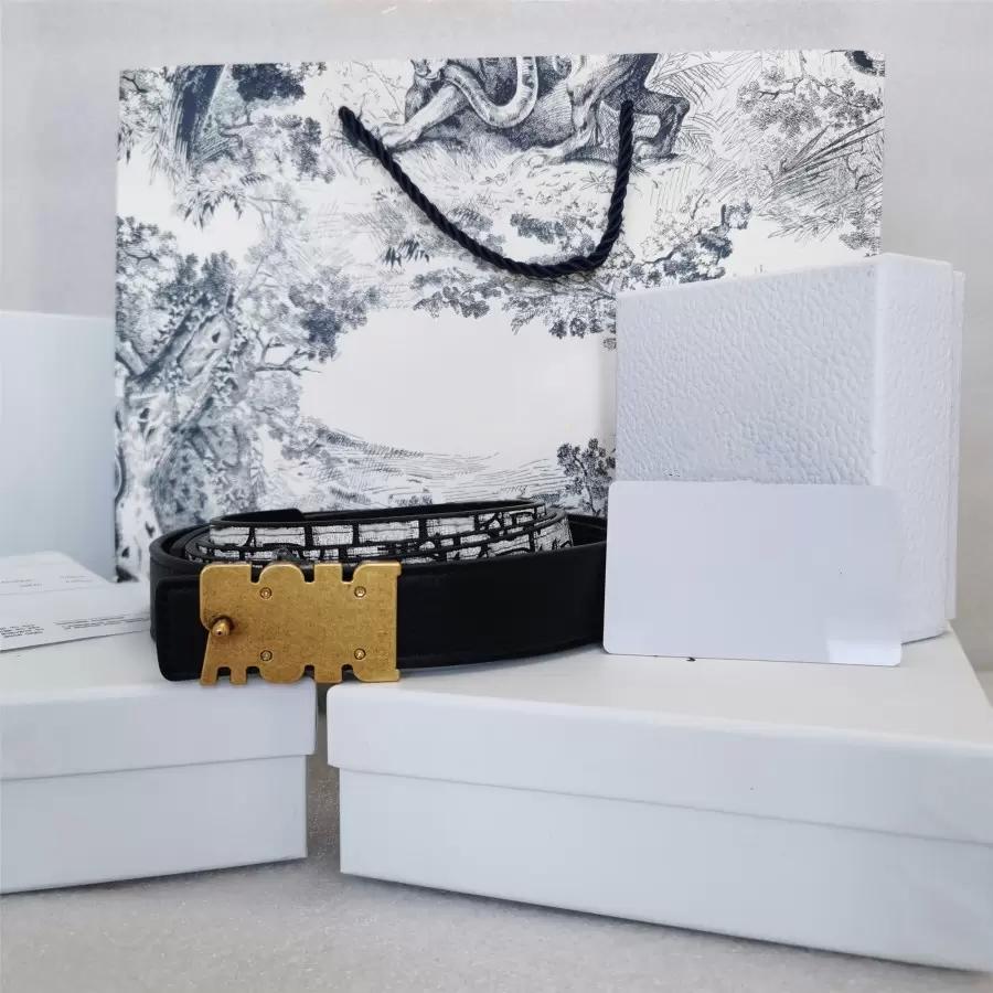 

Luxury leisure Womens Designers Belts letter buckle Oblique print fashion belt for women 7 colors cinturones de diseño mujeres width 2.8cm with box, Width 2.8cm with gift box