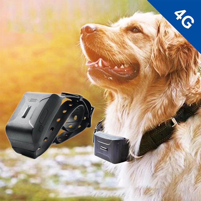 

Dog collar GPS tracker device 4g vibration dog training health monitoring GPS system
