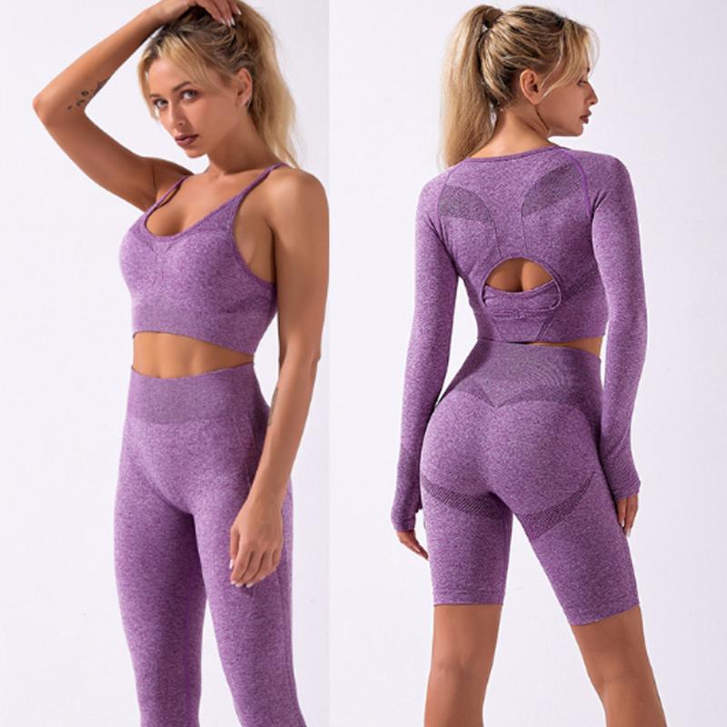 

2020 Autumn Winter Seamless Women Yoga Set Workout Sportswear Gym Clothing Fitness Tracksuits High Waist Leggings Sports Suits, Purple 2pcs