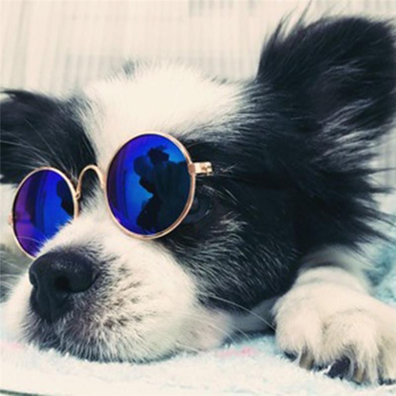 

Small Dogs Sunglasses Cats Glasses Products For Pet Supplies Photos Props Accessories akcesoria dla psa gafas perro dla psa, 0.12