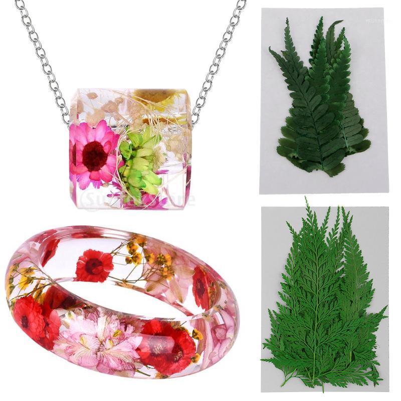 

22 Pieces Green Pressed Dried Flower Dry Ferns Leaves for DIY Scrapbooking Art Craft Bookmark Card Making1, As pic