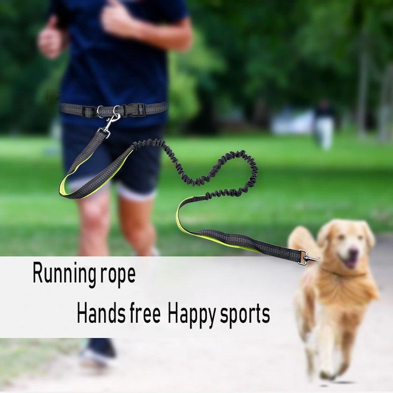 

Dog running leash dog leash schnauzer yorkshire terrier small and medium-sized retractable pet supplies collar