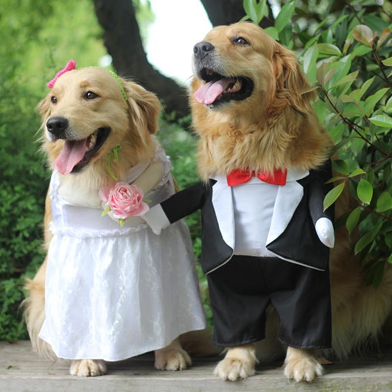 

Pet Wedding Suit Dog Cloak Transfiguration Crossdresser Costume Soft Pet Dog Suit Festive Party Cute Cosplay Decoration, Black