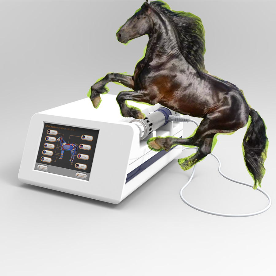 

Shock wave veterinary treat equine shockwave therapy device Veterinary use shockwave for horse with 5 transmitters