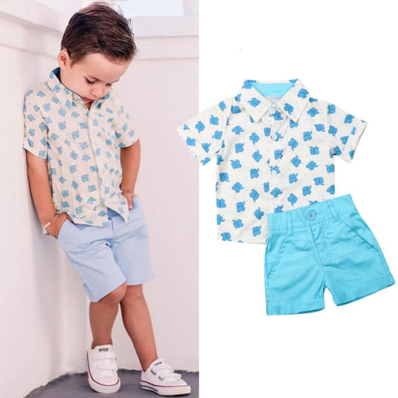 

Baby Boy Clothing Set 2pcs Set Turn-down Collar Toddler Kids Baby Boys Summer Clothes T-shirt Tops+shorts Pants 0-5 Years, As pic