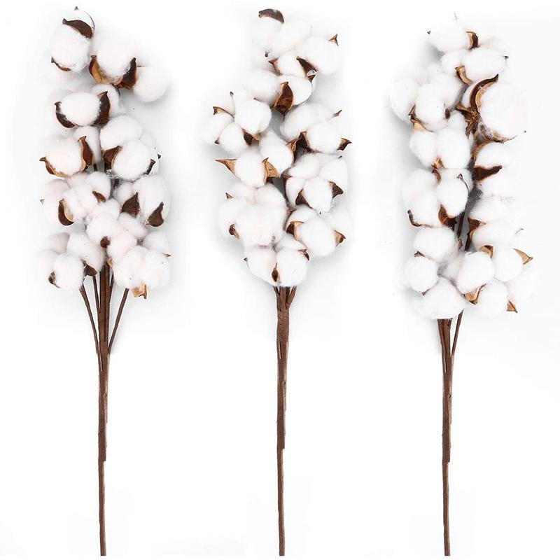 

3pcs Cotton Stems 21 inches Cotton Flowers Dried Flowers 10 Balls Each Farmhouse Style Display Vase Filler Rustic Decorations, White