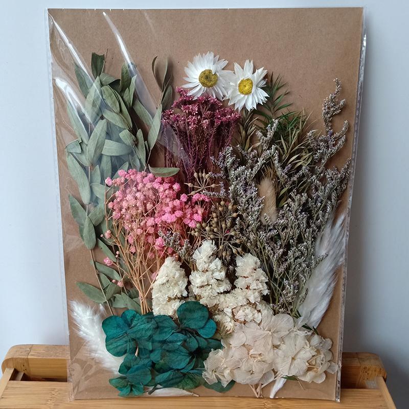 

Dongliflower Dried Pressed Natural Flower Materials Mixed Kinds for Scrapbooking, Frame DIY Handicrafts Gift or Home Decor, C 21x15cm