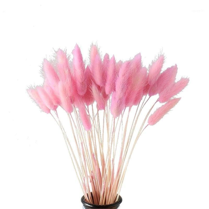 

50 pcs pink color dried pampas flowers tail grass bouquets Lagurus Ovatus natural plants home wedding decor bunches1, Primary color