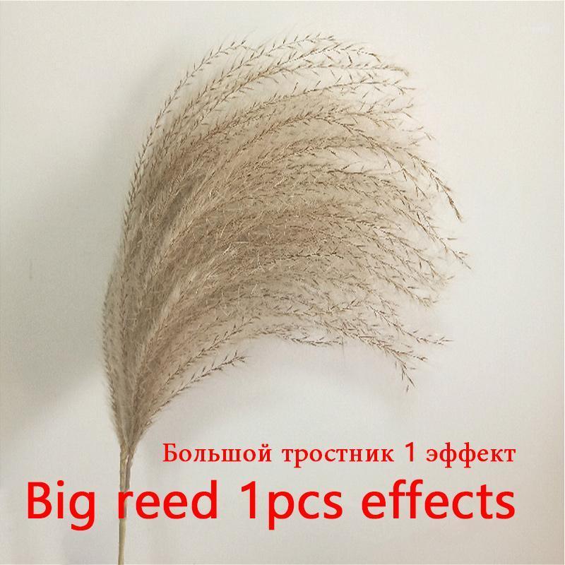 

30pc Pampas Grass Reed Dry Flower Bouquet Wedding Decoration Dried Real Flower Living Room Floor Home Furnishings Shooting Props1, Small reed50cm30pcs
