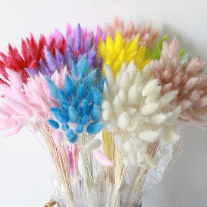 

HOT 20Pcs Tail Grass Natural Dried Flowers For Home Decoration Flower Arrangement Lagurus Ovatus Real Flower Grass Props, Brown