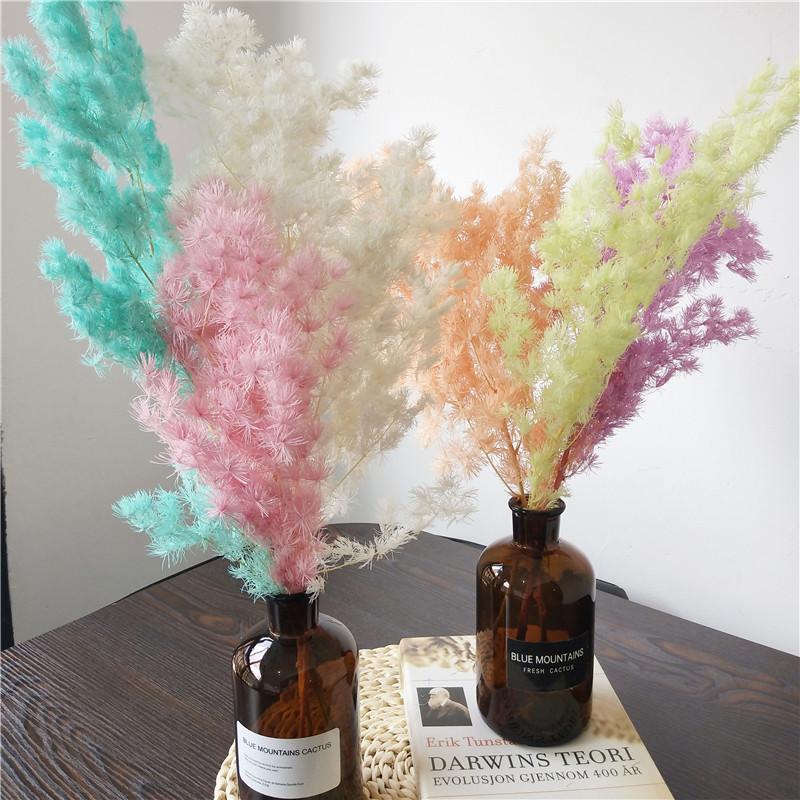 

80g Preserved Fresh,Plant Real Nature Penglai Pine,DIY Flower Wedding Mariage Gift Eternelle Flower Home Floral Table Decor, Red