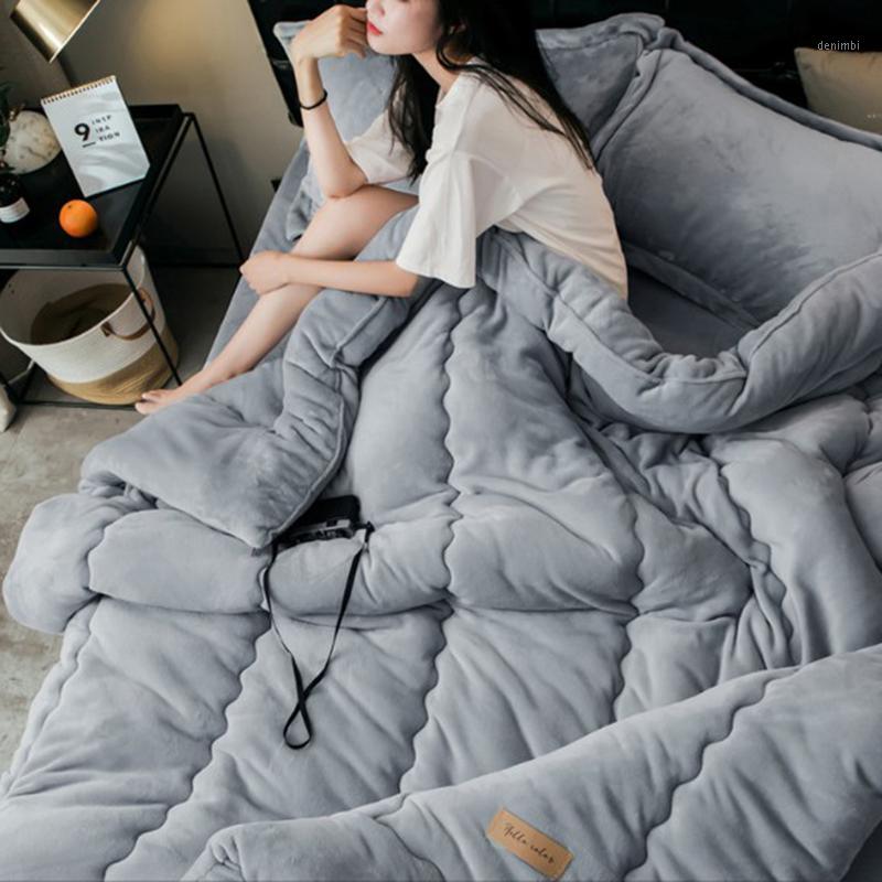 

Thickened Flannel Quilt Warm Nordic Comforters for Spring Autumn 100% Polyester Bedding Comforters for Winter Single Quilt1, Pink