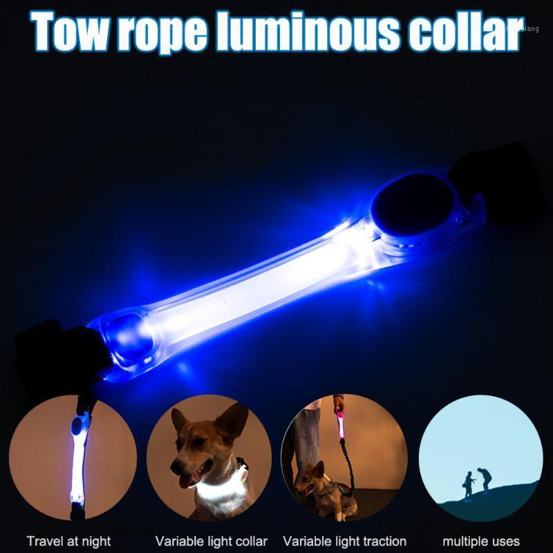 

Cat Battery Operated Leash Accessories LED Flashing Bright Night Safety Dog Collar Light Glowing Pet Supplies Sports Waterproof1
