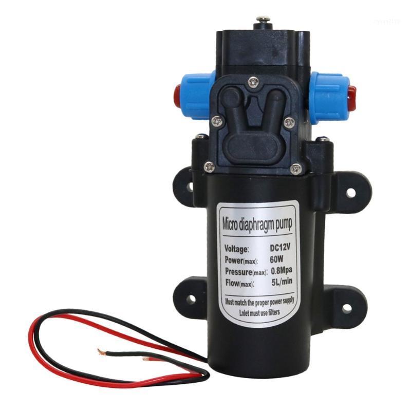 

DC 12V 0.8MPa 5L/min Agricultural Electric Water Pump Micro Diaphragm Water Sprayer Car Wash Garden Irrigation Tool 1 Pc1, Power adapter