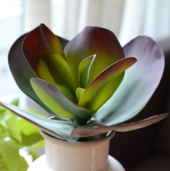 

Large succulent rose Artificial flowers more plants Micro - landscape small potted plants Living room flower decorations, Green