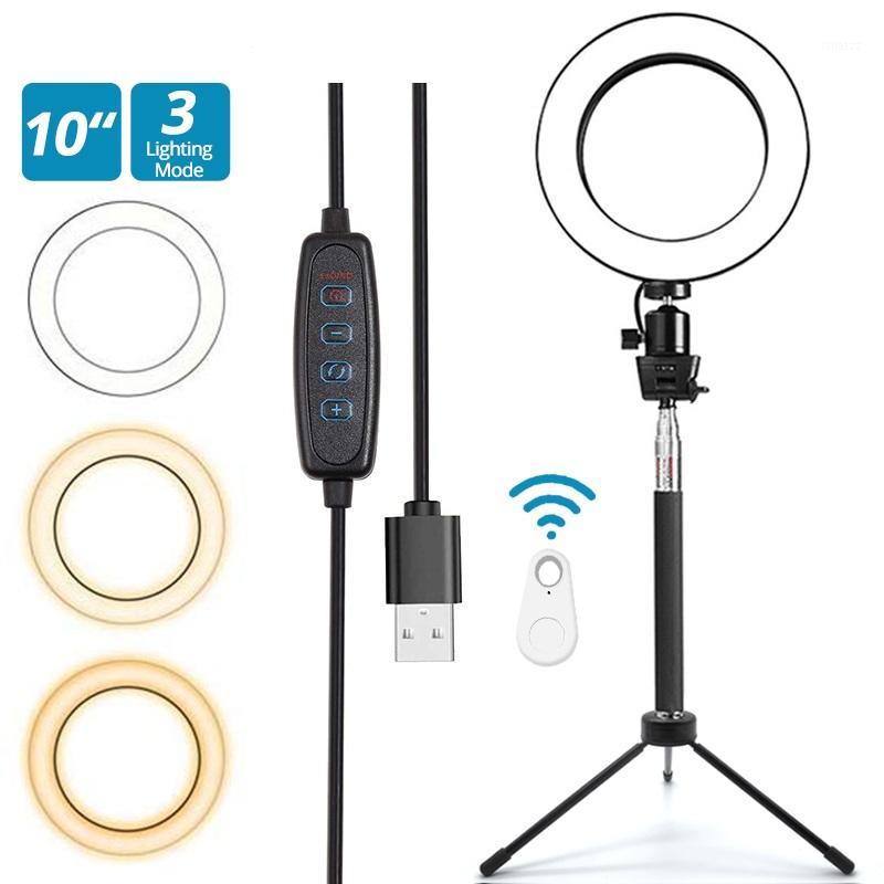 

RL-8 USB Mini Ring Light Portable 20cm Annular Lamp Dimmable Circular Light with Remote Control Phone Holder for Tik Tok Youtube1