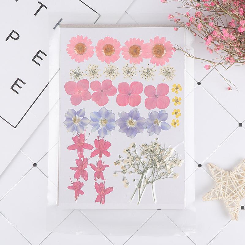 

1 Bag Real Dried Flower Material For Resin Pendant Necklace Jewelry Making Craft Phone Case DIY Accessories1, 1 set