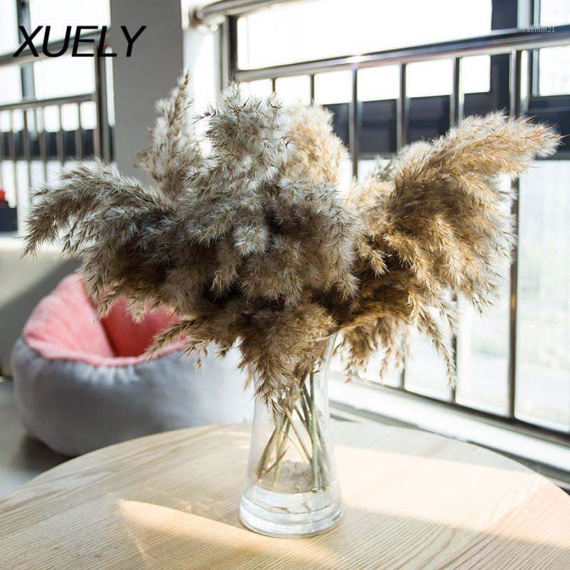 

10Pcs 20Pcs Free Shipping Dried Pampas Grass Decor For Home Decor Wedding Decoration Natural Dried Pampas Grass1, 8pcs